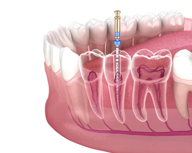 istockphoto-1269231046-612x612.jpg